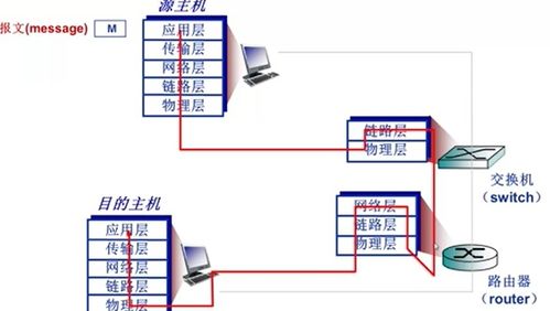 计算机网络性能与结构体系解析